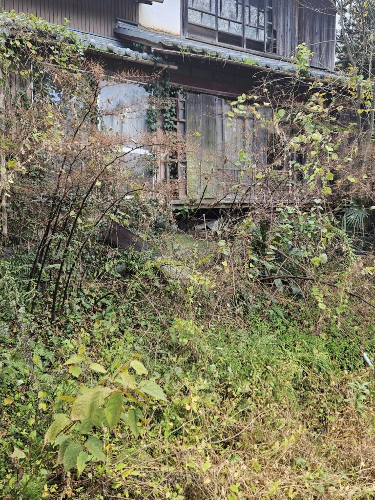 雑草が生い茂る物件を買取りました🏠